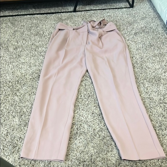 Express Pink Ankle Cropped Pants - Picture 1 of 6